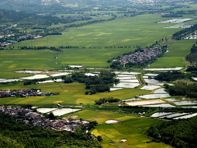 Taishan