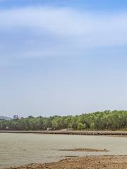 National Wetland Park of Yellow River