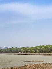 黄河国家湿地公園