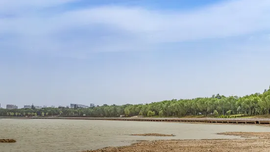 黃河國家濕地公園