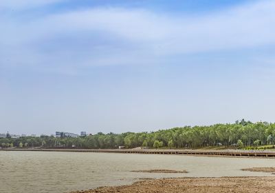 National Wetland Park of Yellow River