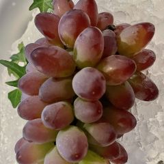 醉辉皇(徐汇滨江东航店) User Photo