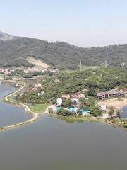 白湖湿地公園