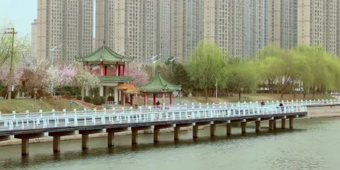 松濤園