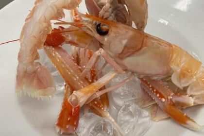 Ristorante Civico 35