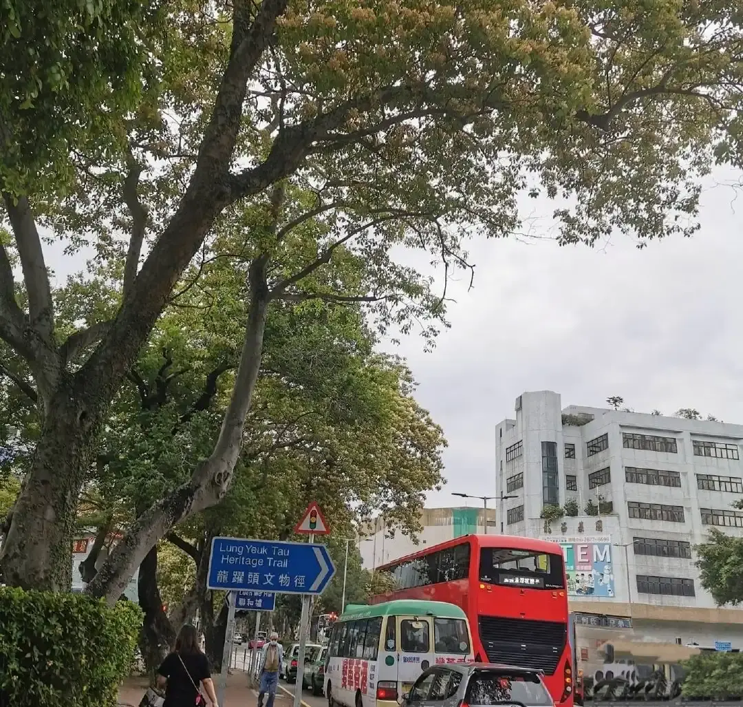 Hotels near Hong Kong Fenling Lianhe Market