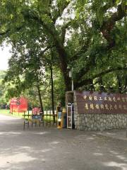 중국 경공업 도자기 연구소