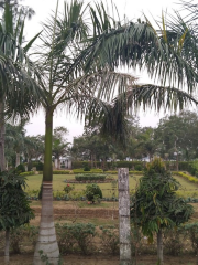 Nehru Bangala Garden