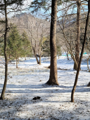 邊山半島國立公園