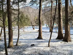 邊山半島國立公園