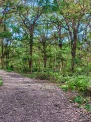 Ardmore Regional Park