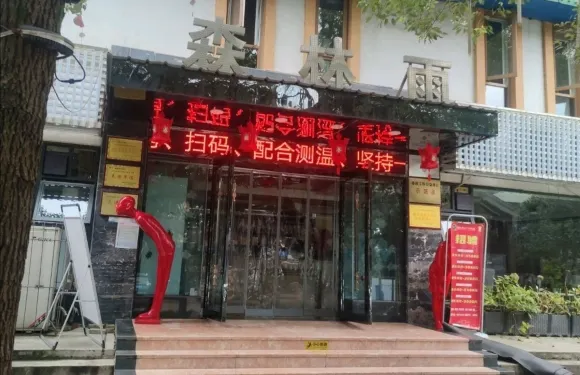 森林雨（北川旗艦店）