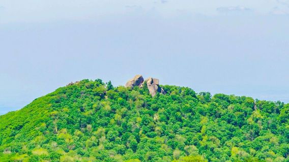 Three Stone National Forest Park