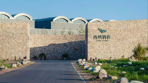 Qingtongxia