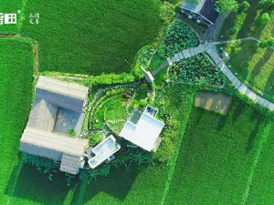 Huangmei Kangfu Paddy Farm