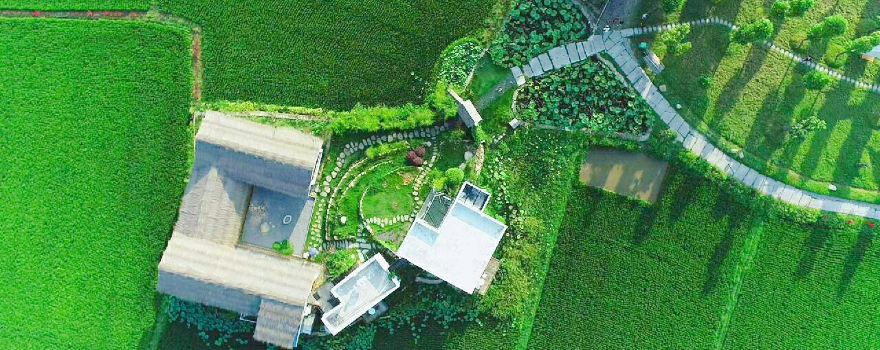 Huangmei Kangfu Paddy Farm