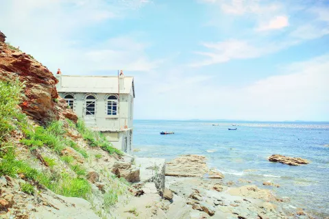 장자도