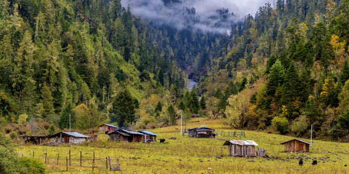 Lulang Town