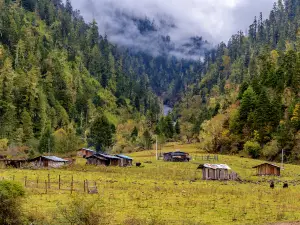 Lulang Town