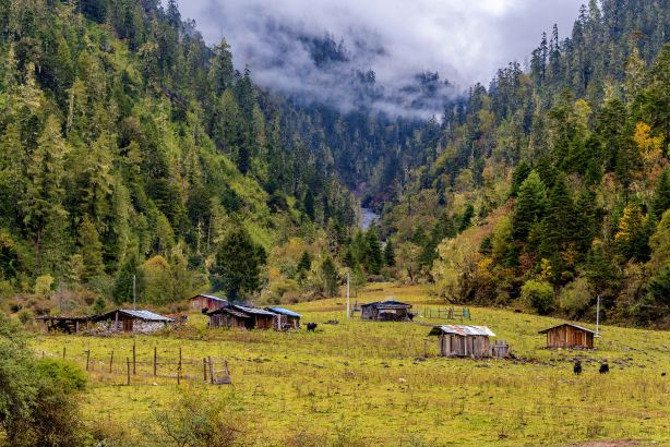 Lulang Scenic Area