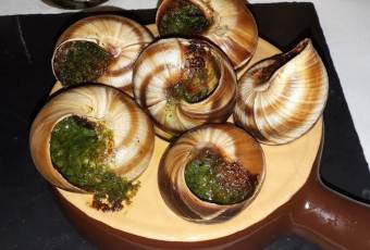 Popular dishes