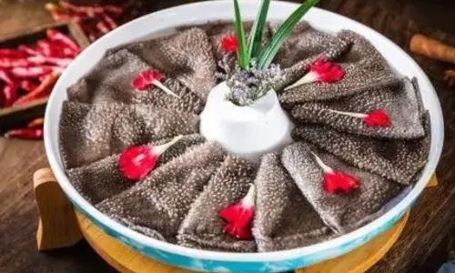 NAN TIAN MEN HOTPOT