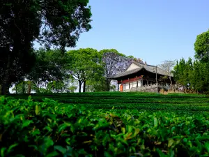 China Pu-Erh Tea Exhibition Garden
