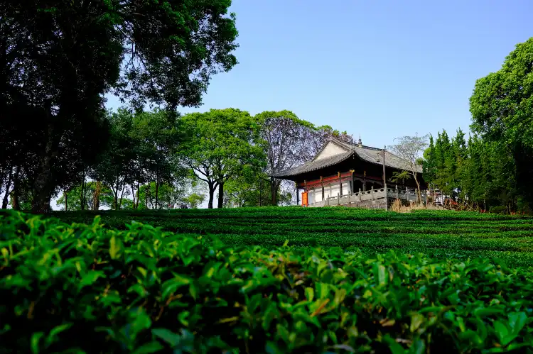 Hotels near Pu'Er Tea Horse Road Seenic Spot