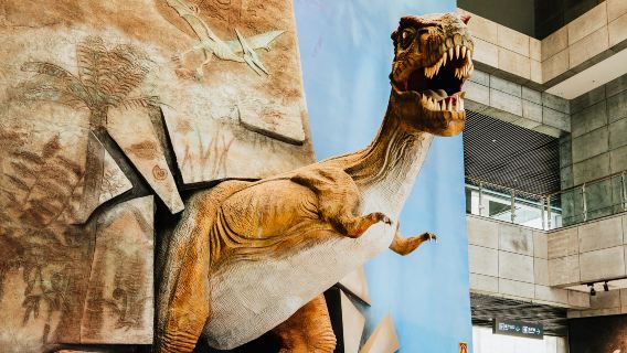 China Ancient Biology Museum