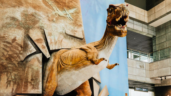 China Ancient Biology Museum