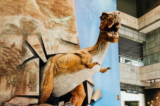 China Ancient Biology Museum
