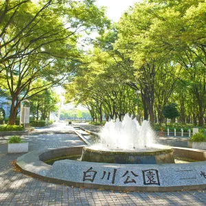 白川公園