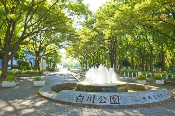 鄰近白川公園的酒店