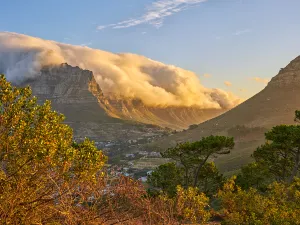 Table Mountain National Park