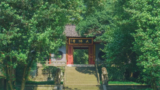 新昌大佛寺景區