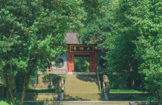 新昌大佛寺景區+十九峯門票成人