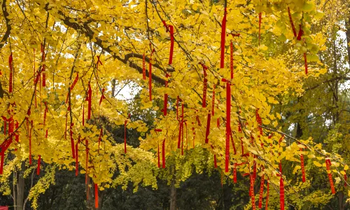 Huanhuaxi Park