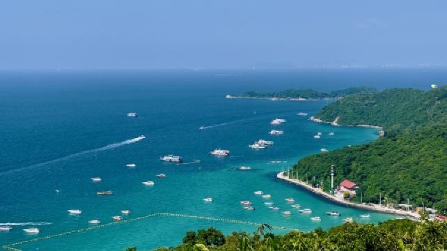 หนองปรือ