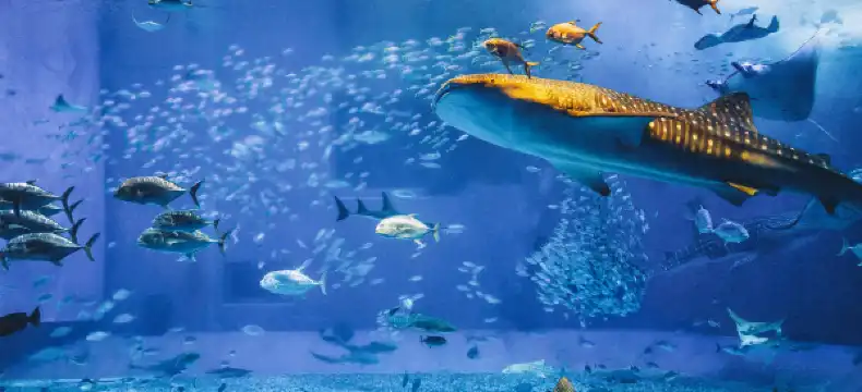 Hotels near Emerald Beach