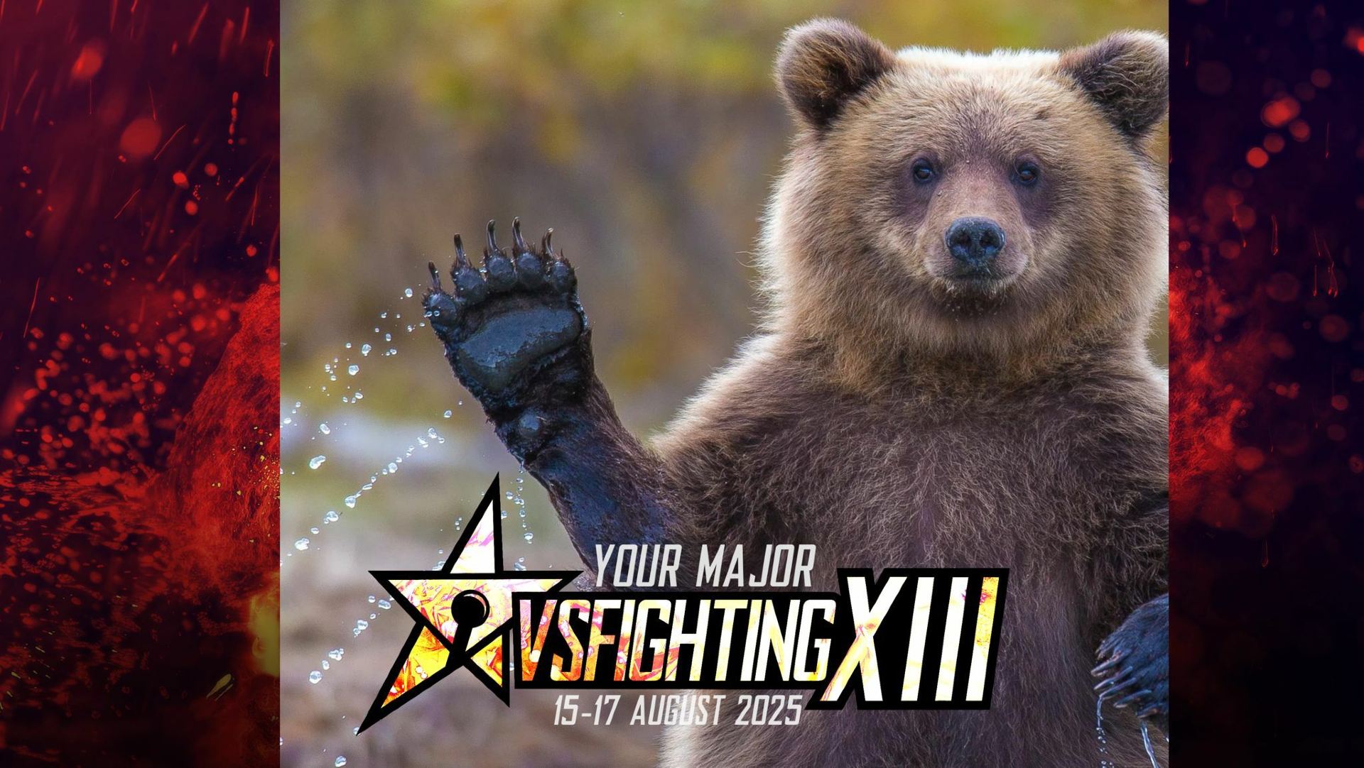 VSFighting XIV | Birmingham