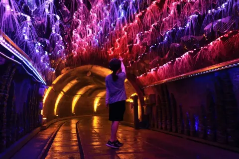 嘉陽桫欏湖旅遊景區