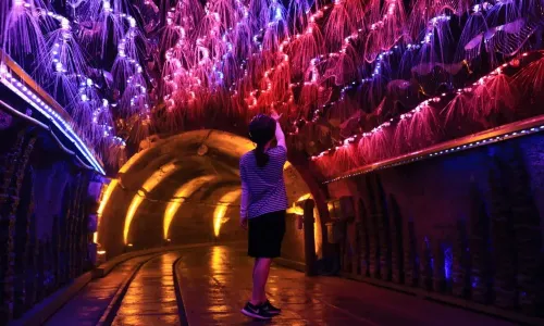 嘉陽桫欏湖旅遊景區