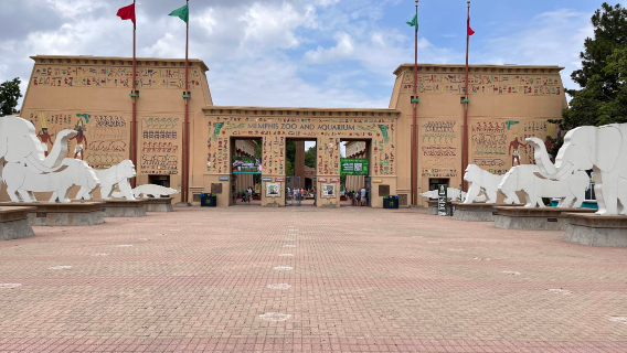 حديقة حيوان ممفيس