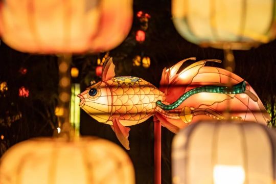 Lantern Festival in Zibo Liaozhai City | Zibo