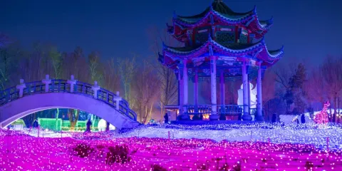 烏魯木齊植物園