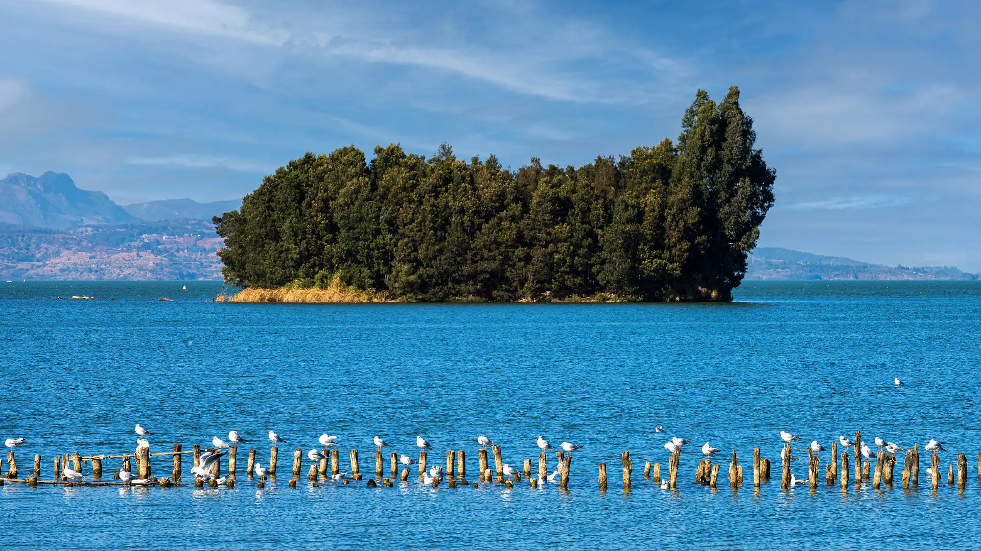 Hotels near Kunming Dianchi National Tourism Resort