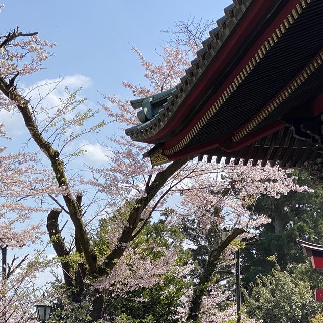 春の高尾山