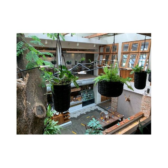 Lucky Cat Coffee & Kitchen