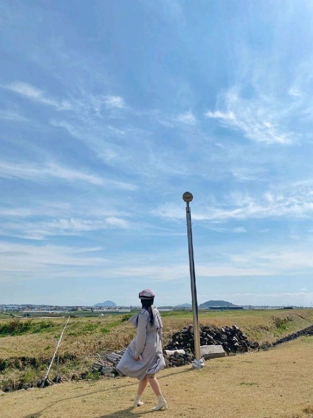 제주도에서 스쿠터를?