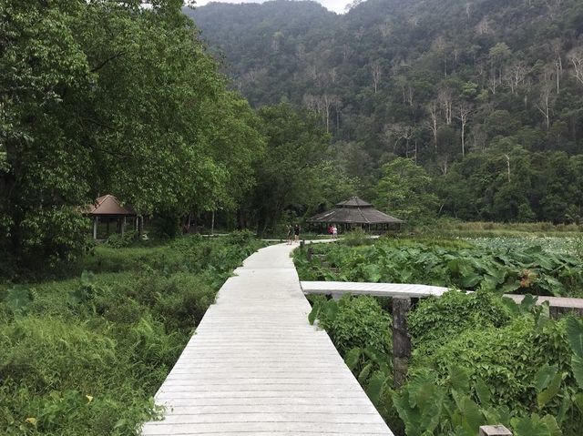 อุทยานแห่งชาติทะเลบัน สตูล